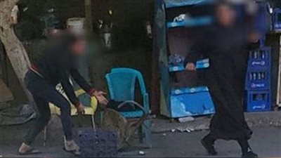 الداخلية تكشف القصة الكاملة بشأن واقعة ضرب شابين بالكرباج في كرداسة