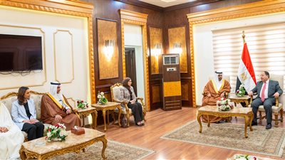 تفاصيل لقاء وزير المالية المصرى بنظيره البحريني بمطار القاهرة