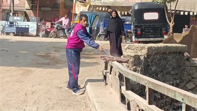 تفاصيل خناقة عنيفة بـ«الشوم والسلاح» فى الحكروب بأسوان