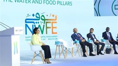 أستاذ هندسة طاقة: برنامج نوفِّي يحقق لمصر النمو وجلب الاستثمارات 