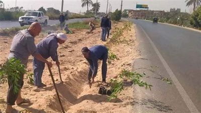 زراعة 1210 أشجار مثمرة فى مركزين بالمنيا ضمن مبادرة 100 مليون شجرة