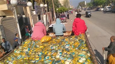 طرح 27 ألف كرتونة مواد غذائية مدعمة واستمرار الحملات التفتيشية بمراكز المنيا