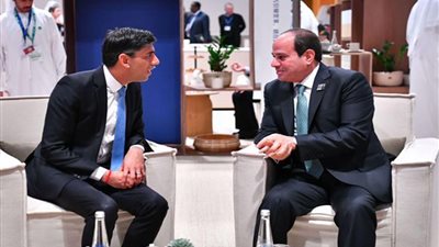 رئيس وزراء بريطانيا يشيد بجهود مصر لإيصال المساعدات الإنسانية لغزة