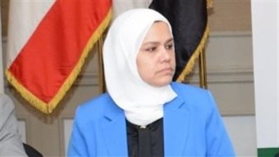 نائب رئيس مصلحة الضرائب توضح عقوبة إصدار فواتير وهمية 