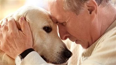 دراسة مثيرة تعدد الفوائد الصحية لامتلاك كلب