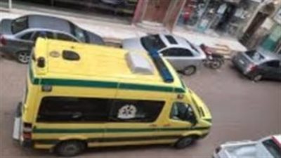 إصابة 4 عمال أثناء عملهم بقرية أبو شوشة في قنا