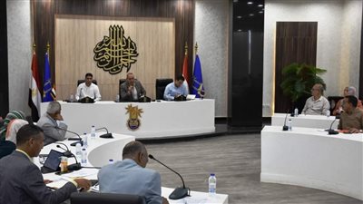 متابعة معدلات تنفيذ مشروعات «حياة كريمة» في أسوان