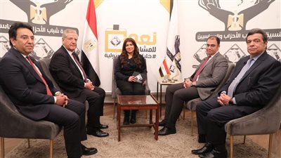 ممثل حملة «السيسي»: المخاطر المتعلقة بالاستثمارات الأجنبية المباشرة تنعكس على الغلاء والتضخم