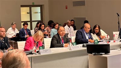 وزير المالية يطالب بتطوير الهيكل المالي العالمي لتيسير التمويل الأخضر بالدول النامية