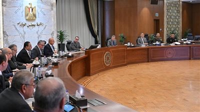 رئيس الوزراء: اعتماد مقترح مخطط دعم وتعظيم الصادرات المصرية
