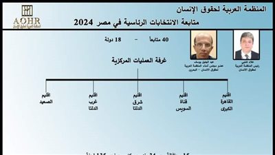 ننشر خطة المنظمة العربية لحقوق الإنسان لمتابعة الانتخابات الرئاسية