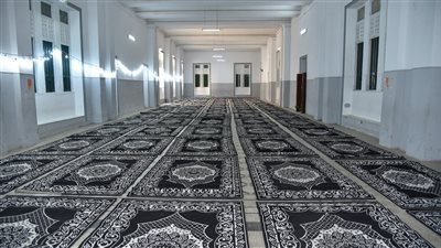 الأجهزة المعنية بالإسكندرية تضع اللمسات النهائية لمقار اللجان الانتخابية