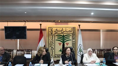 مائدة مستديرة لمناقشة حقوق الأطفال النفسية بمشاركة مجلسي «الطفولة والأمومة» و«حقوق الإنسان»