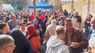 المستشار جمال التهامي: إقبال المواطنين بالانتخابات يعكس وعيهم بمن يمكنه أن ينجو بالسفينة