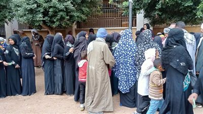 بالصور.. إقبال كبير من السيدات على صناديق اللجان الانتخابية بالمنيا