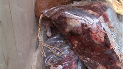 ضبط صاحب «شركات الفيروز» لتجميع هياكل الدواجن الفاسدة بالقليوبية