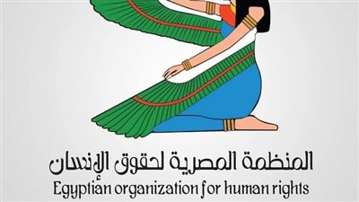 المنظمة المصرية لحقوق الإنسان ترصد 28 مخالفة باليوم الأول لانتخابات الرئاسة