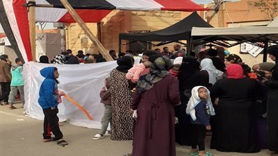 بالصور.. تزايد إقبال الناخبين على لجان انتخابات مجلس الشيوخ 2025 بالقليوبية 