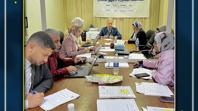 عمليات المنظمة المصرية لحقوق الإنسان ترصد 12 مخالفة في ثاني أيام الانتخابات