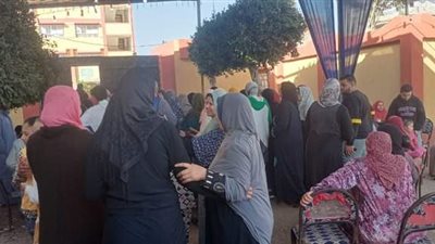 حماة الوطن: حشود المصريين باللجان الانتخابية على مدار يومين مشهد مشرف