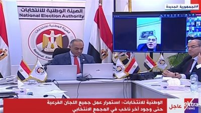 المستشار خالد عبدالغفار: العملية الانتخابية تسير بسلاسة ويسر