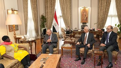 وزير الخارجية يستقبل رئيسة البعثة المشتركة للاتحاد الافريقي لمتابعة الانتخابات الرئاسية 