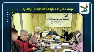 49 مختلفة يرصدها التقرير الميداني للمنظمة المصرية حول العملية الانتخابية