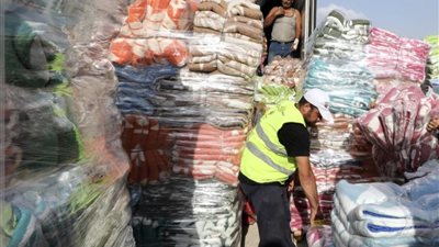 الاتحاد العام للمصريين في الخارج يشارك في قوافل دعم أبناء غزة 