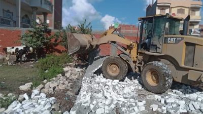 بالصور.. إزالة 11 حالة تعد على الأراضي الزراعية وأملاك الدولة بالبحيرة 