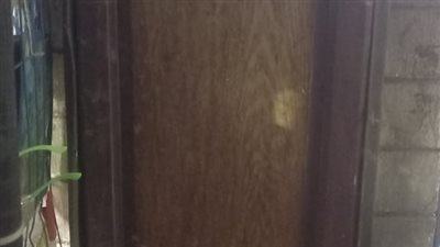 بالصور.. «النبأ» ترصد انتشار عصابات سرقة علب الكهرباء من أسفل المنازل بحدائق المعادي