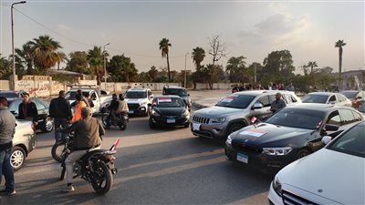 مستقبل وطن بحلوان يحتفلون بفوز الرئيس عبد الفتاح السيسى (صور)