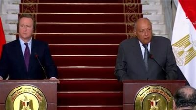 سامح شكري: المجتمع الدولي ومجلس الأمن يتحملان مسئولية الأوضاع في غزة