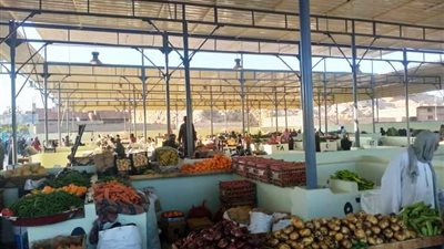 محافظ أسوان: فتح أسواق أسبوعية جديدة لتوفير السلع الأساسية بأسعار مخفضة