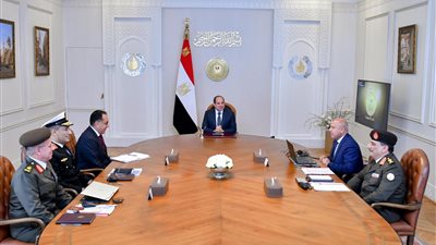 الرئيس السيسي يوجه بمواصلة العمل على تنفيذ مشروع إنتاج الهيدروجين الأخضر