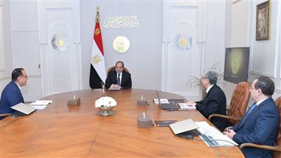 الرئيس السيسي يوجه الحكومة بالبدء في تنفيذ مشروعات الهيدروجين الأخضر
