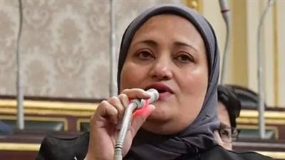 تحرك برلماني عاجل بشأن نقص مادة البرومين المستخدمة فى رصف الطرق 