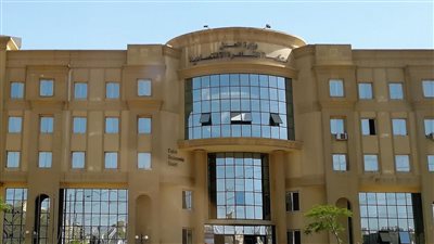 غرامة 300 ألف جنيه لصاحبة قناة «يوميات انوش» بالمعصرة 