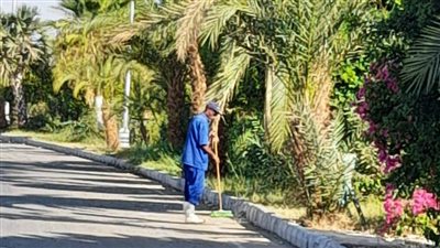 جهود مكثفة لإزالة التعديات في 5 مدن بمحافظة أسوان