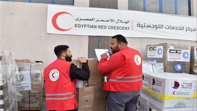 790 شابا متطوعا من شمال سيناء يواصلون العمل على مدار الساعة لإغاثة أهالي غزة