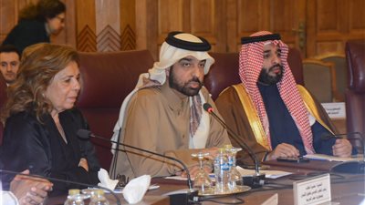 مشيرة خطاب تشارك بلجنة الميثاق العربي لمناقشة التقرير الدورى الأول للمملكة السعودية 