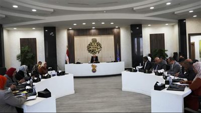 محافظ أسوان يفتتح ورشة عمل لاستعراض المزايا والخدمات المقدمة لذوى الهمم 