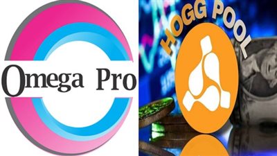 من «هوج بول» لـ«أوميجا برو».. تفاصيل أحدث عمليات النصب على المصريين