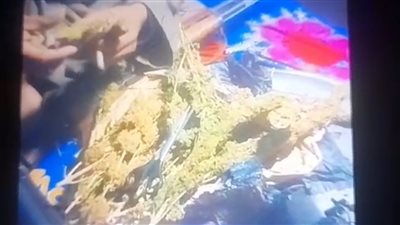 على طريقة «غبى منه فيه».. «أبو شلوخ» يروج لـ«المخدرات» بفيديوهات مثيرة على «فيسبوك» بأسوان