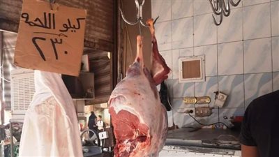 محافظ أسوان يوجه بالضرب بيدًا من حديد لمواجهة احتكار السلع