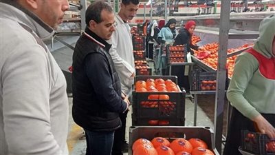 تفاصيل جولات الحجر الزراعي على محطات التعبئة والتصدير بالسادات والنوبارية
