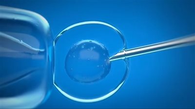 هل تعالج الخلايا الجذعية ضعف الانتصاب عند الرجال؟