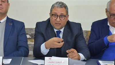 أيمن عقيل: المجتمع الدولي يستخدم ملف حقوق الإنسان لأغراض سياسية