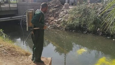 صحة المنيا: حملات مكثفة لمكافحة ناقلات ومسببات الأمراض 