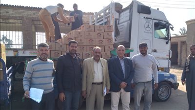 محافظة المنيا توزع 27 ألف كرتونة مواد غذائية لمستحقي «تكافل وكرامة»