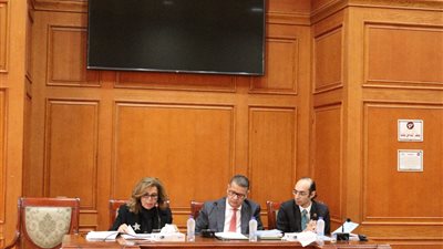 مجلس النواب يعقد جلسة خاصة لمناقشة التقرير السنوي للمجلس القومي لحقوق الإنسان